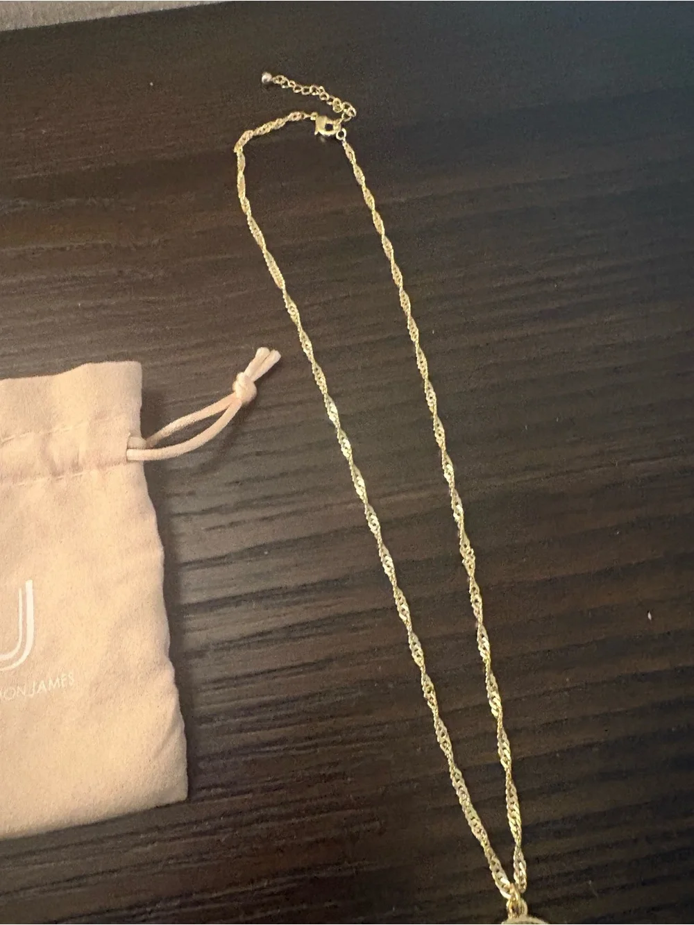 NEW Uncommon James Gold Circle Pendant Necklace